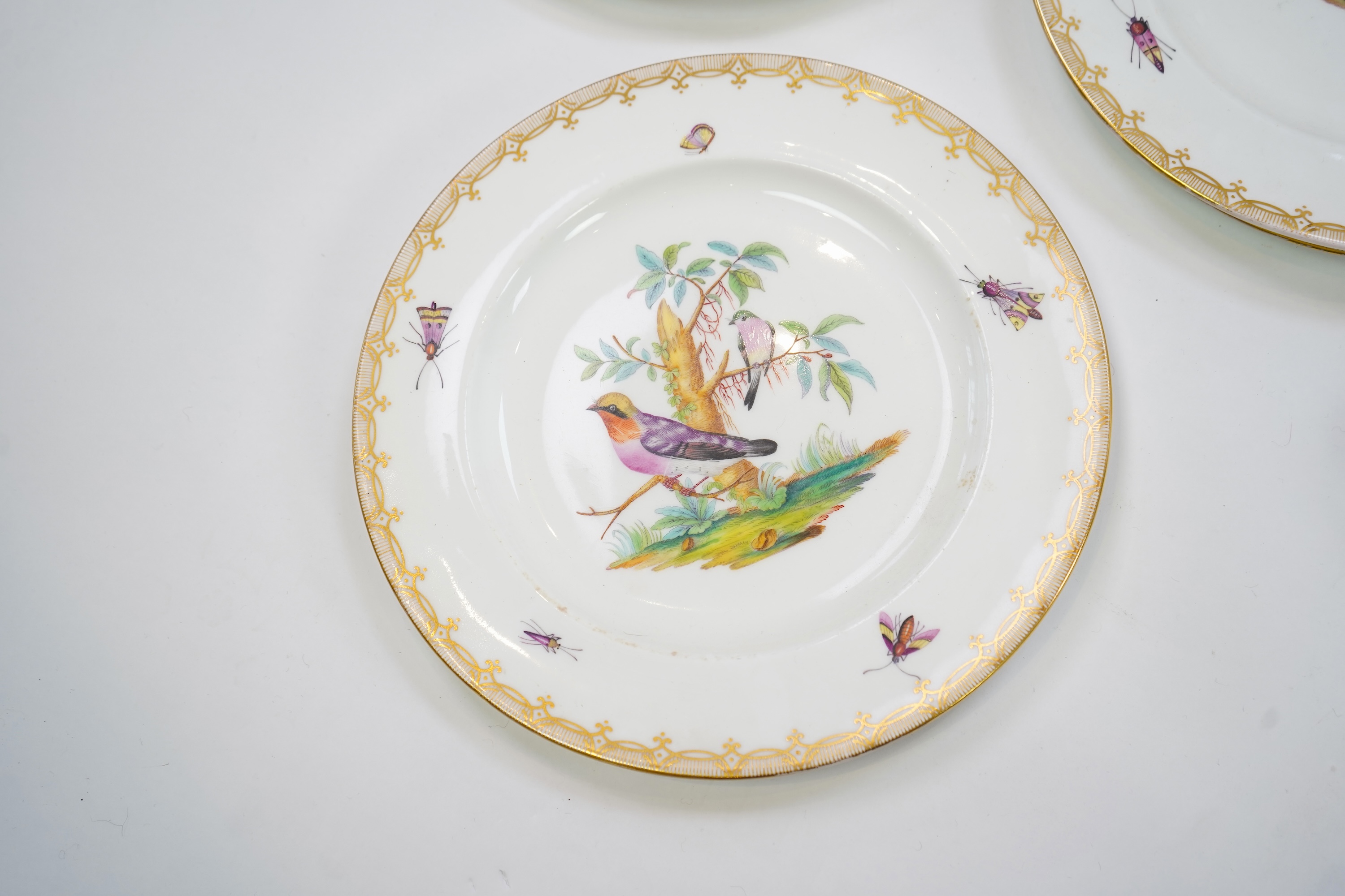 A Coalport bird painted part dinner service, mid 19th century